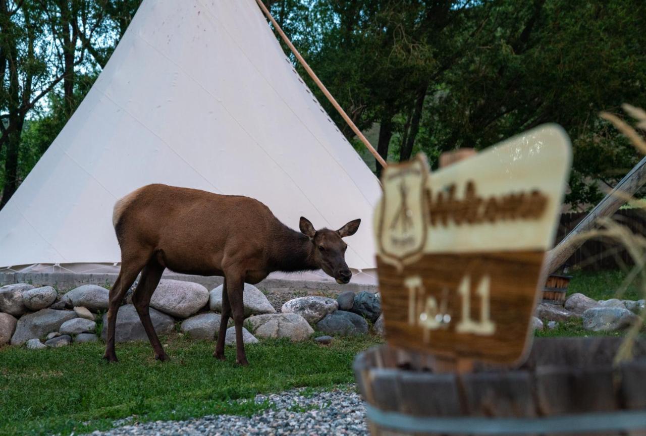 Dreamcatcher Tipi Hotel Gardiner Ngoại thất bức ảnh