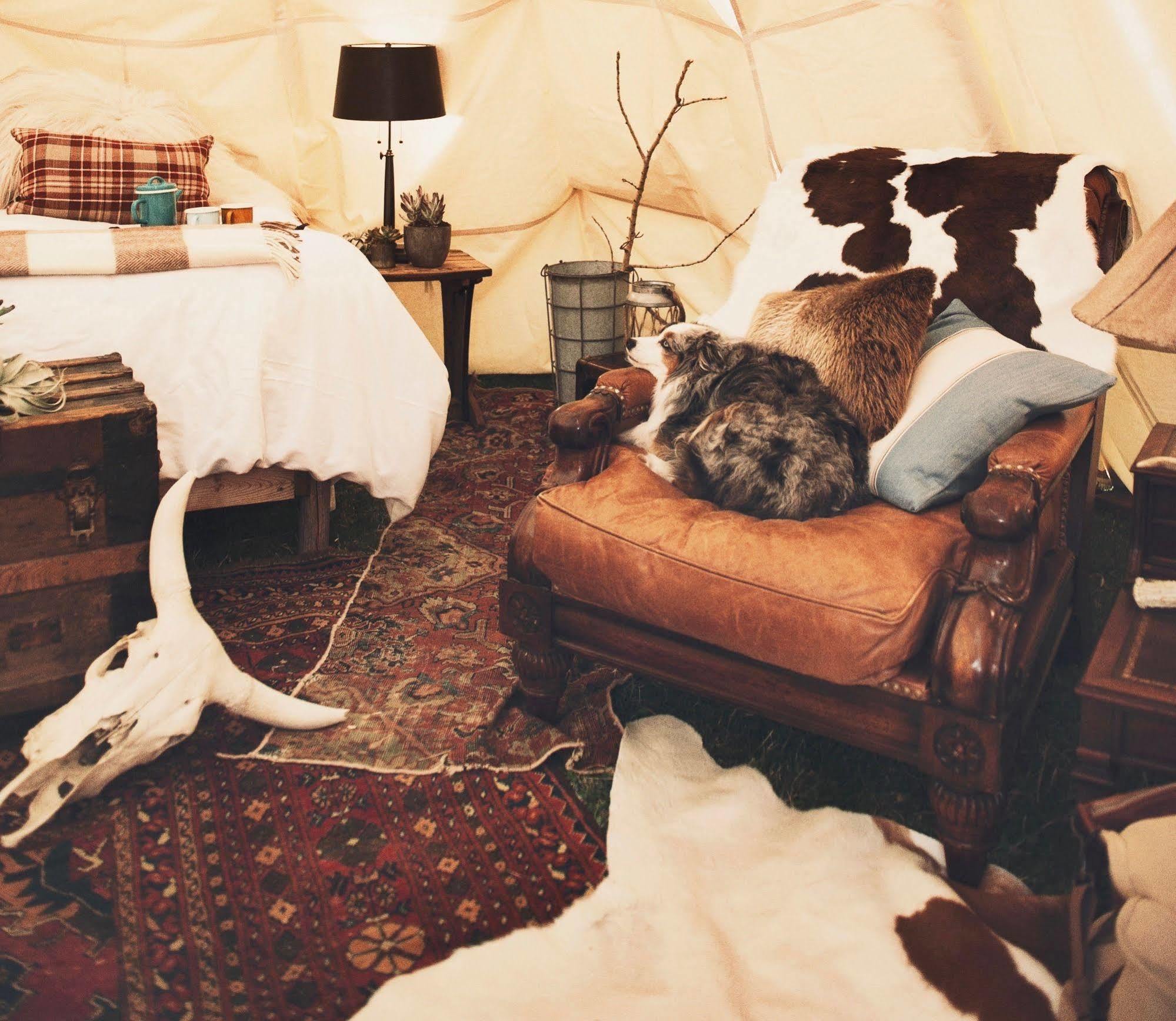 Dreamcatcher Tipi Hotel Gardiner Ngoại thất bức ảnh